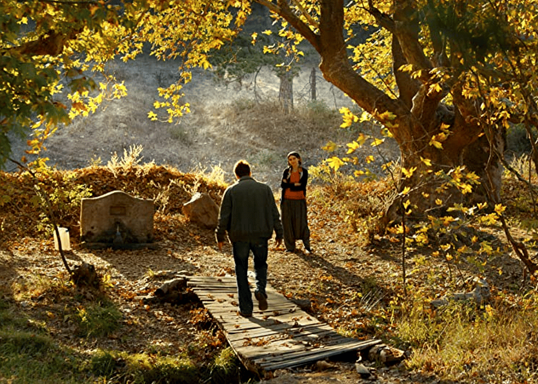 #23. The Wild Pear Tree (2018)