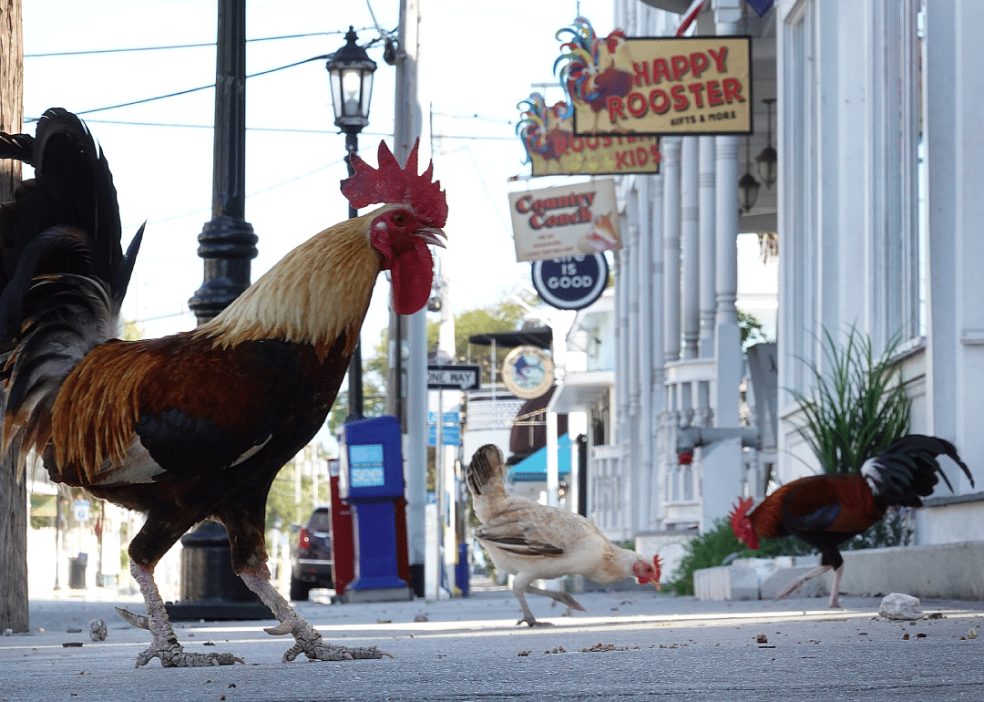 Key West faces tough times as closures affect tourism