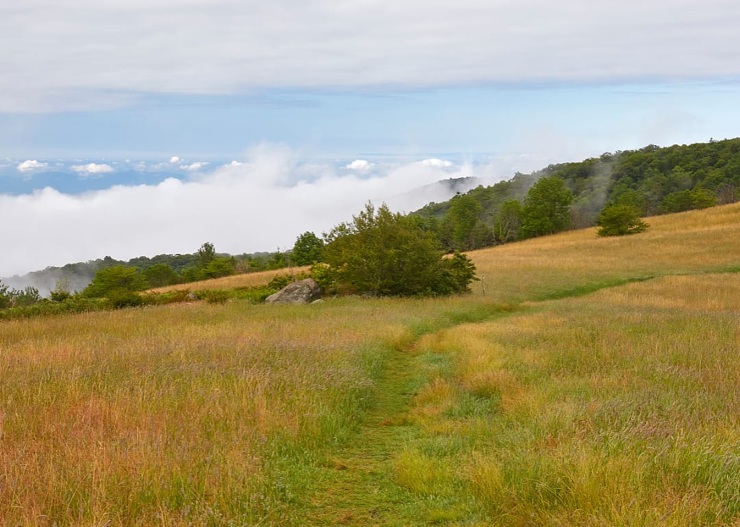 #22. Amherst County, Virginia