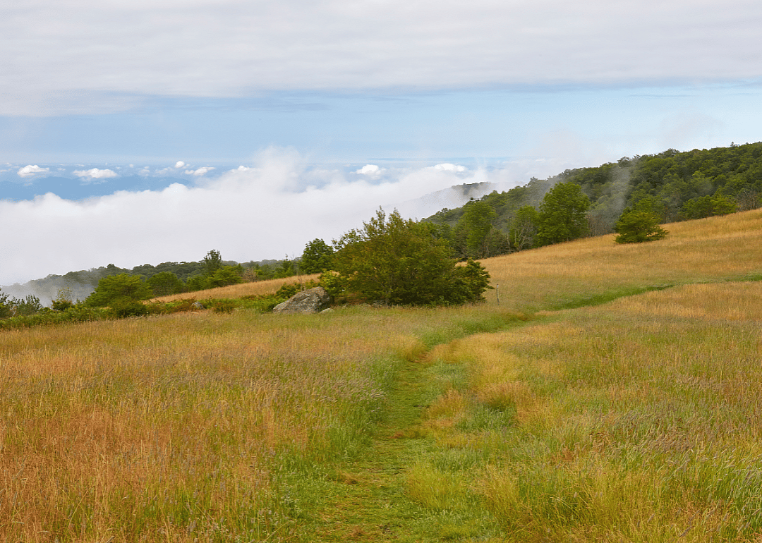 #26. Amherst County