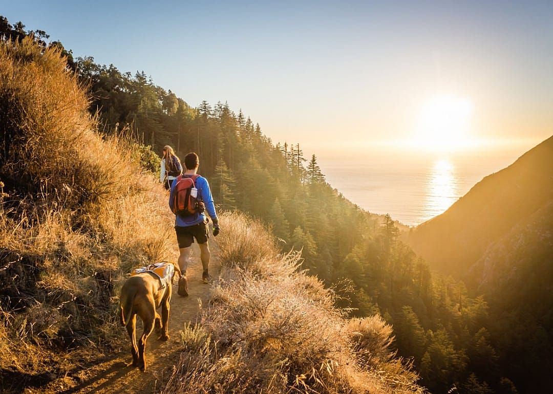 Couple with dog hiking.