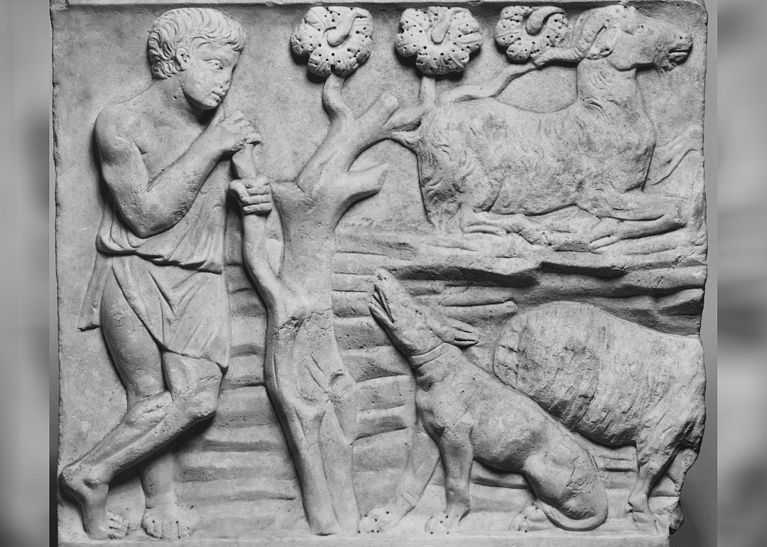 12,000 years ago: Agricultural Revolution changes man and dog