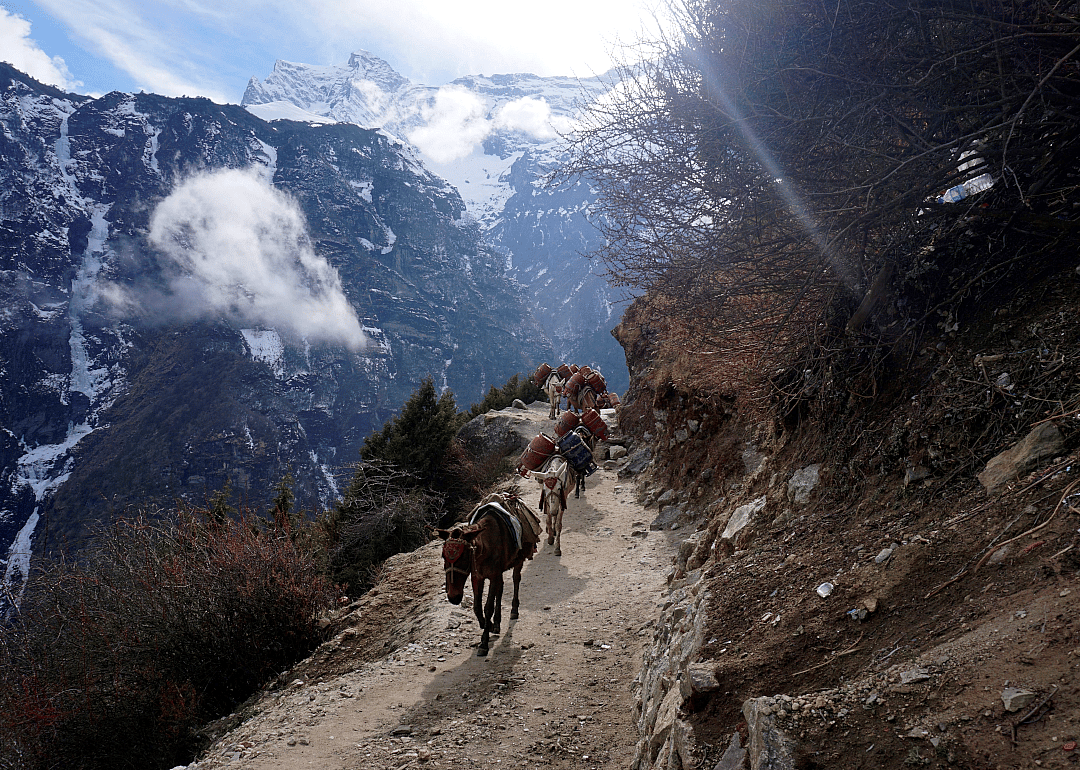 Mount Everest shutdown