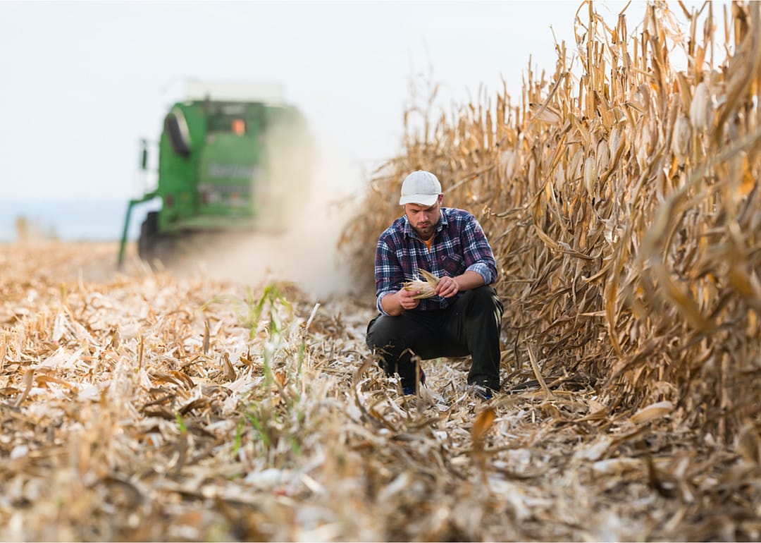 Farmers in the US are overwhelmingly white