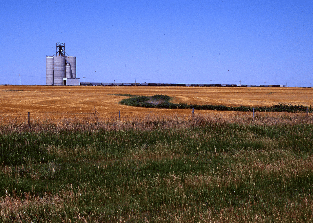 #12. Greeley County