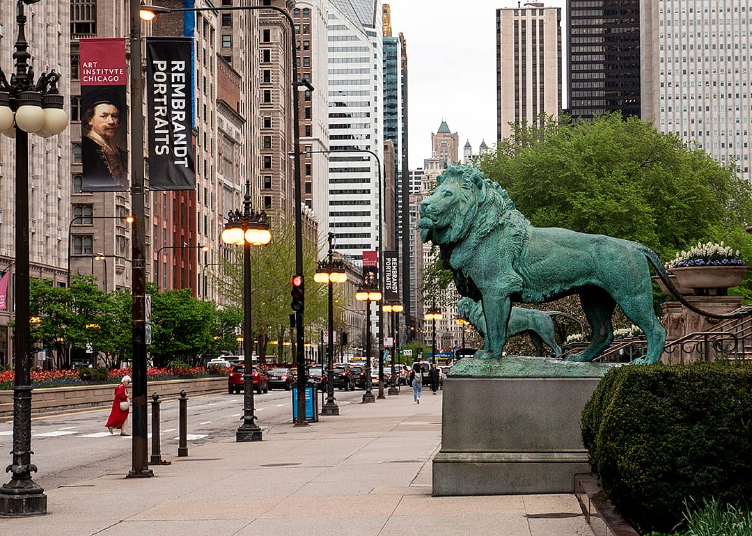 The lion statues outside the Art Institute of Chicago looking out over Michigan Avenue.