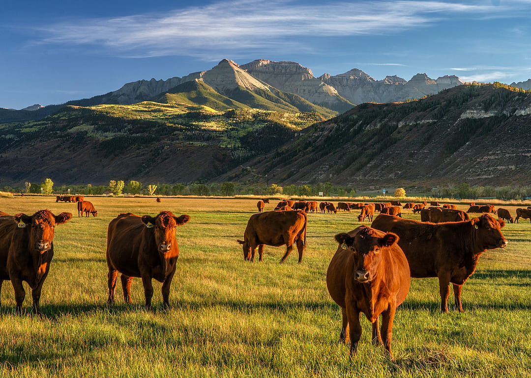 Colorado