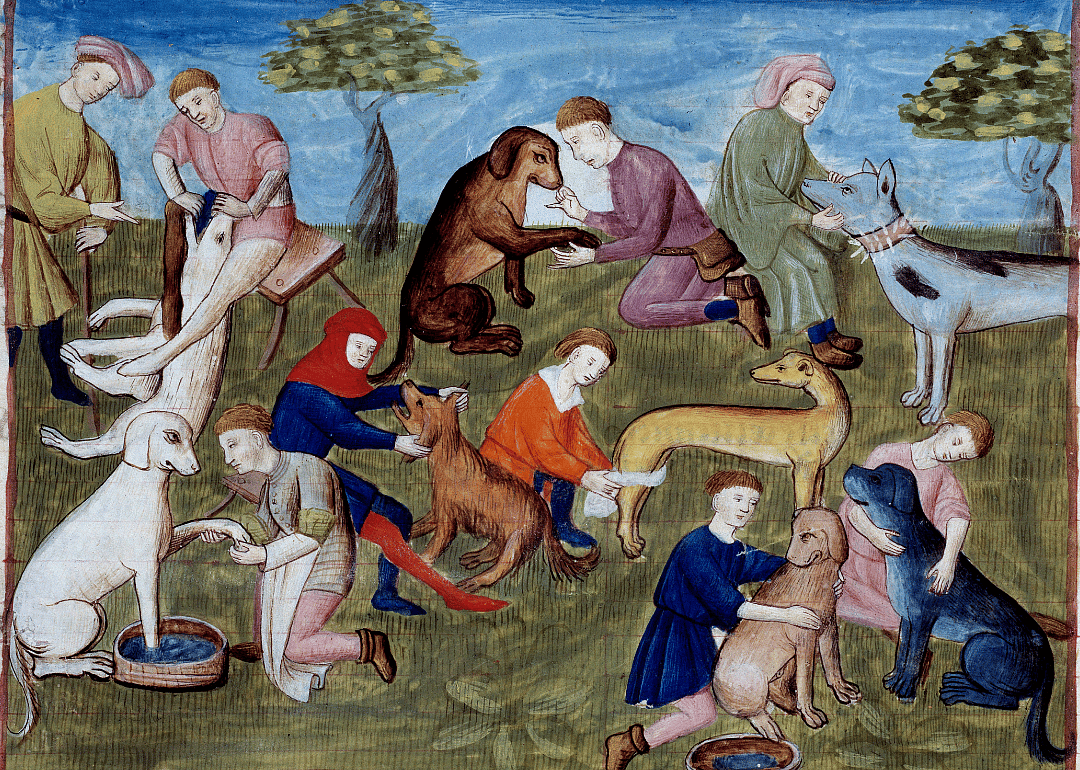 10,000 years ago: Dogs get jobs