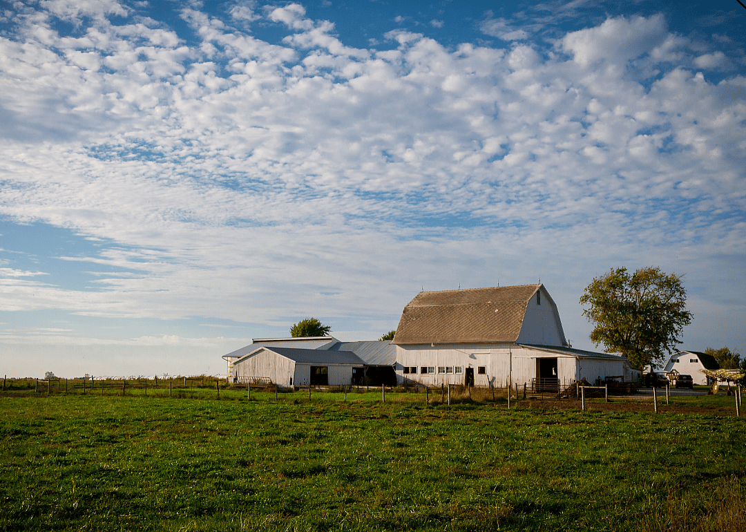 #4. Butler County