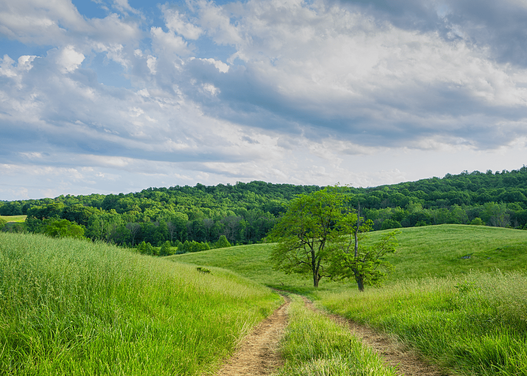 #7. Pittsylvania County