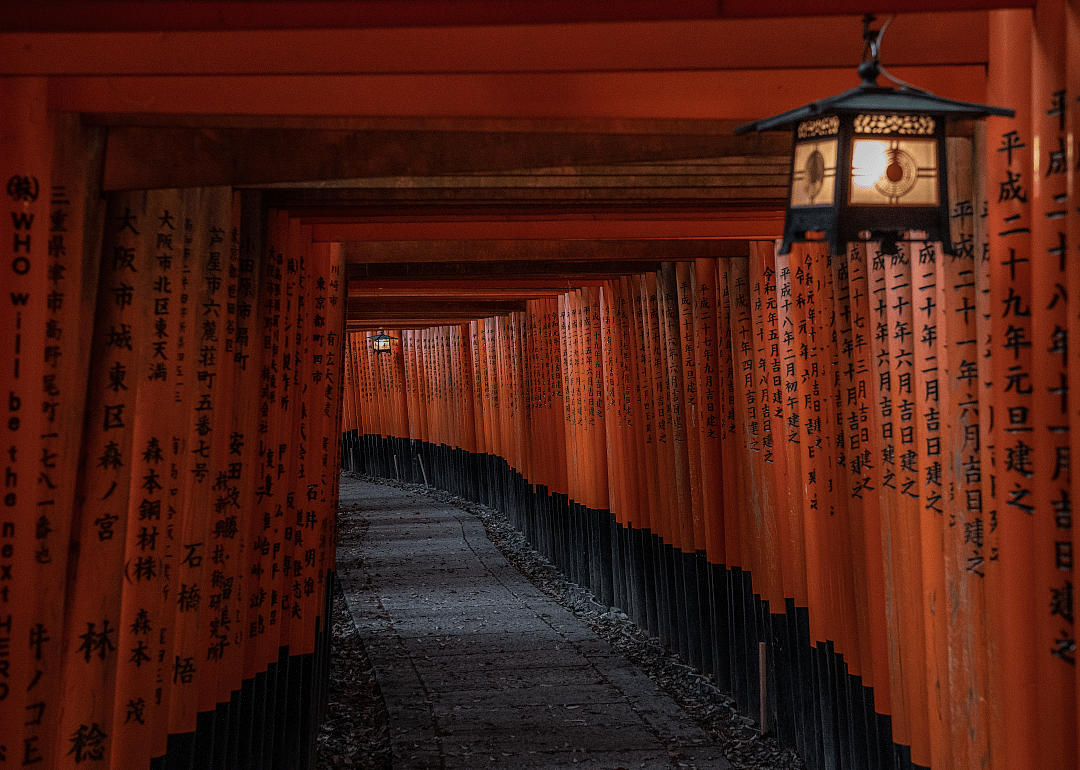 Japan's tourism sector hit by coronavirus outbreak