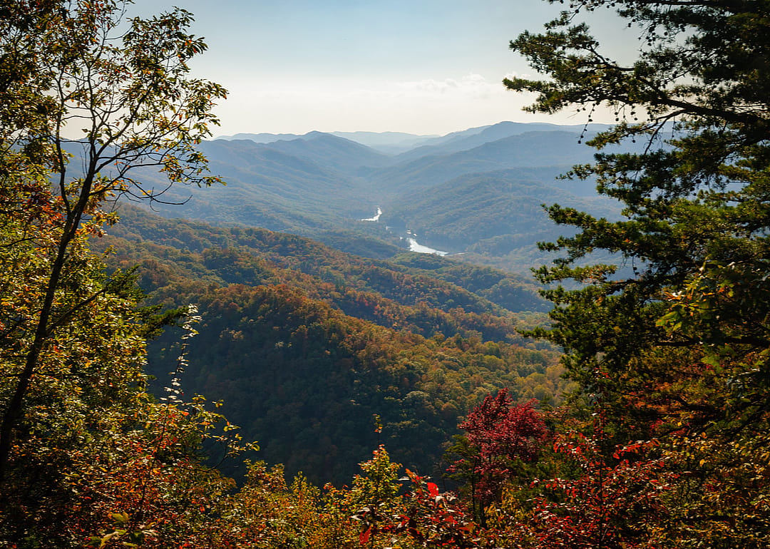 #42. Kentucky