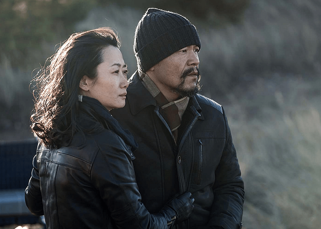 #27. Ash Is Purest White
