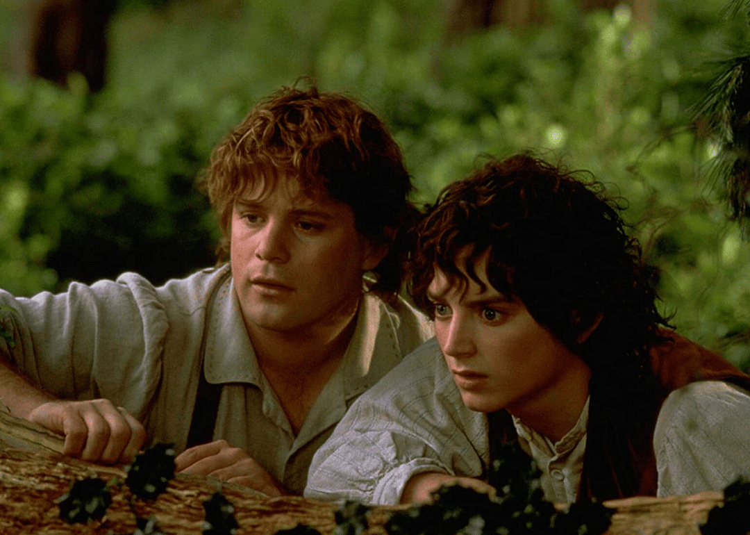 #17. ‘The Lord of the Rings: The Fellowship of the Ring’ (2001)
