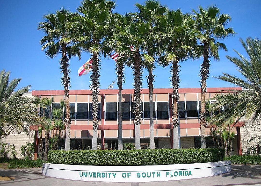 #89. University of South Florida