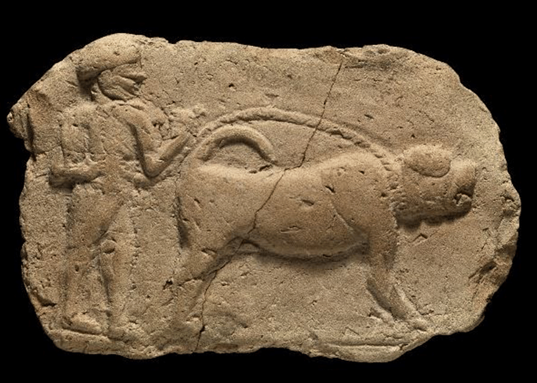 5,300 years ago: Dogs get leashes and collars