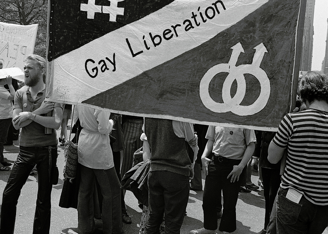 Early LGBTQ+ organizations and their activism