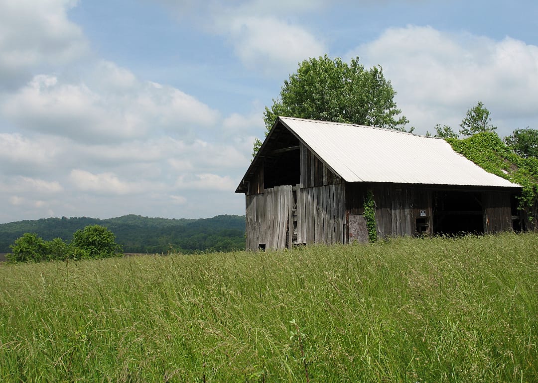 #4. Champaign County