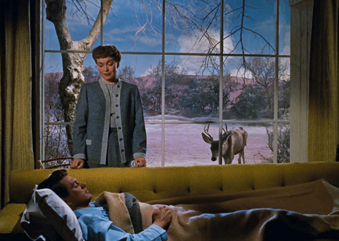 #15. Cary in 'All That Heaven Allows' (1955)