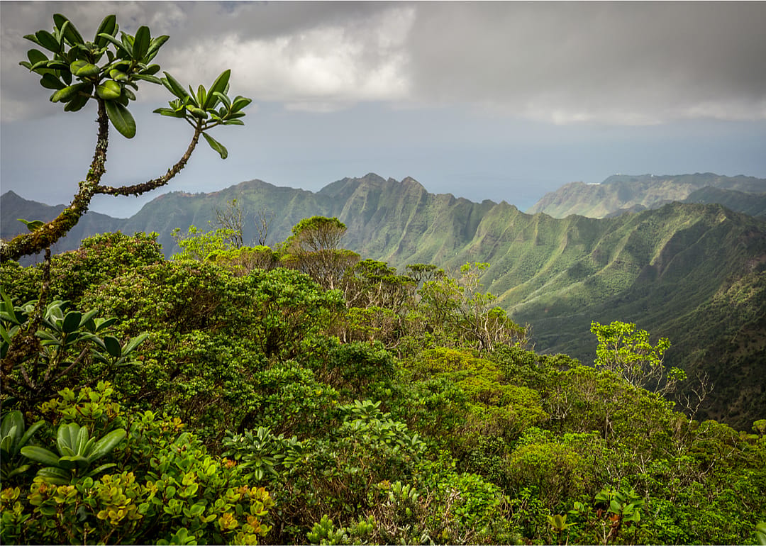 Hawaii: Hawaii County
