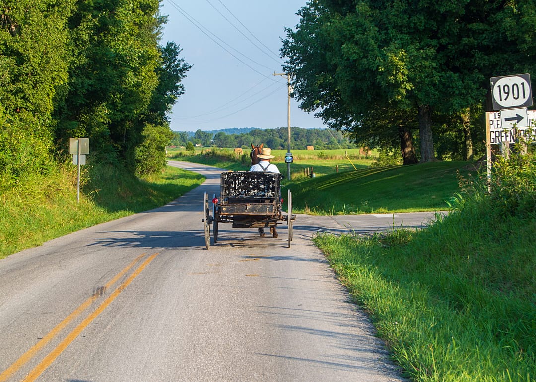 #50. Crittenden County