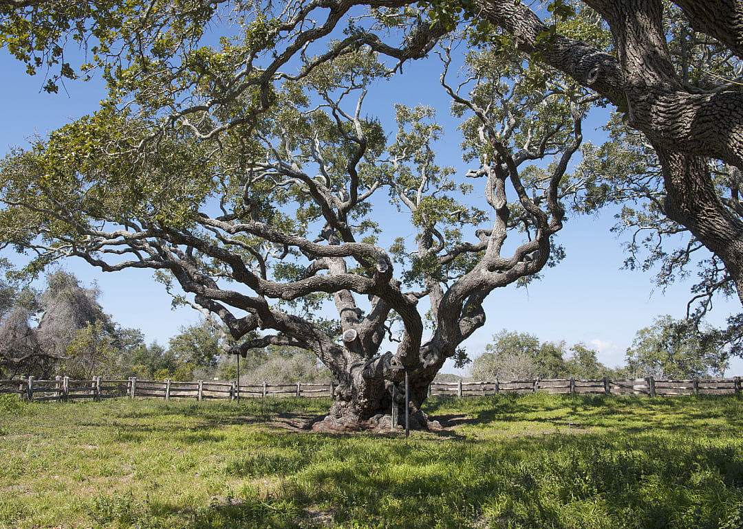 #15. Lamar, Texas