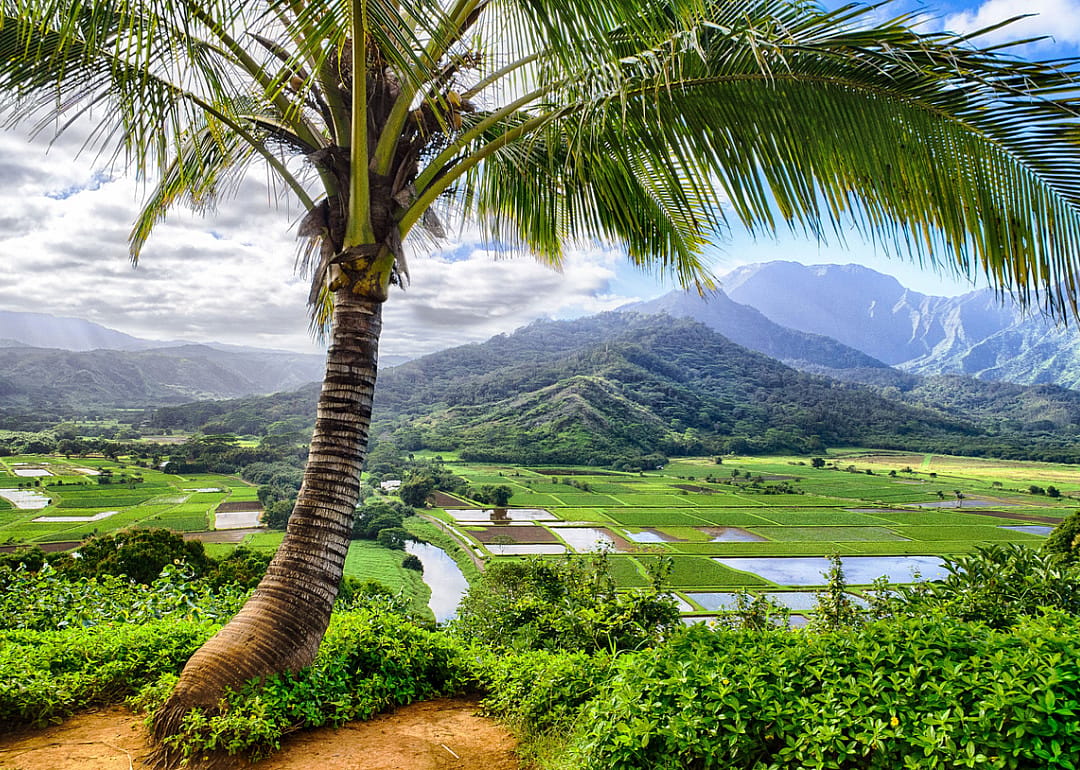 #14. Princeville, Hawaii
