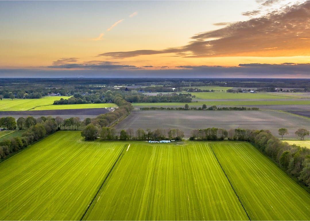 Windbreaks provide protection for American fruit farms