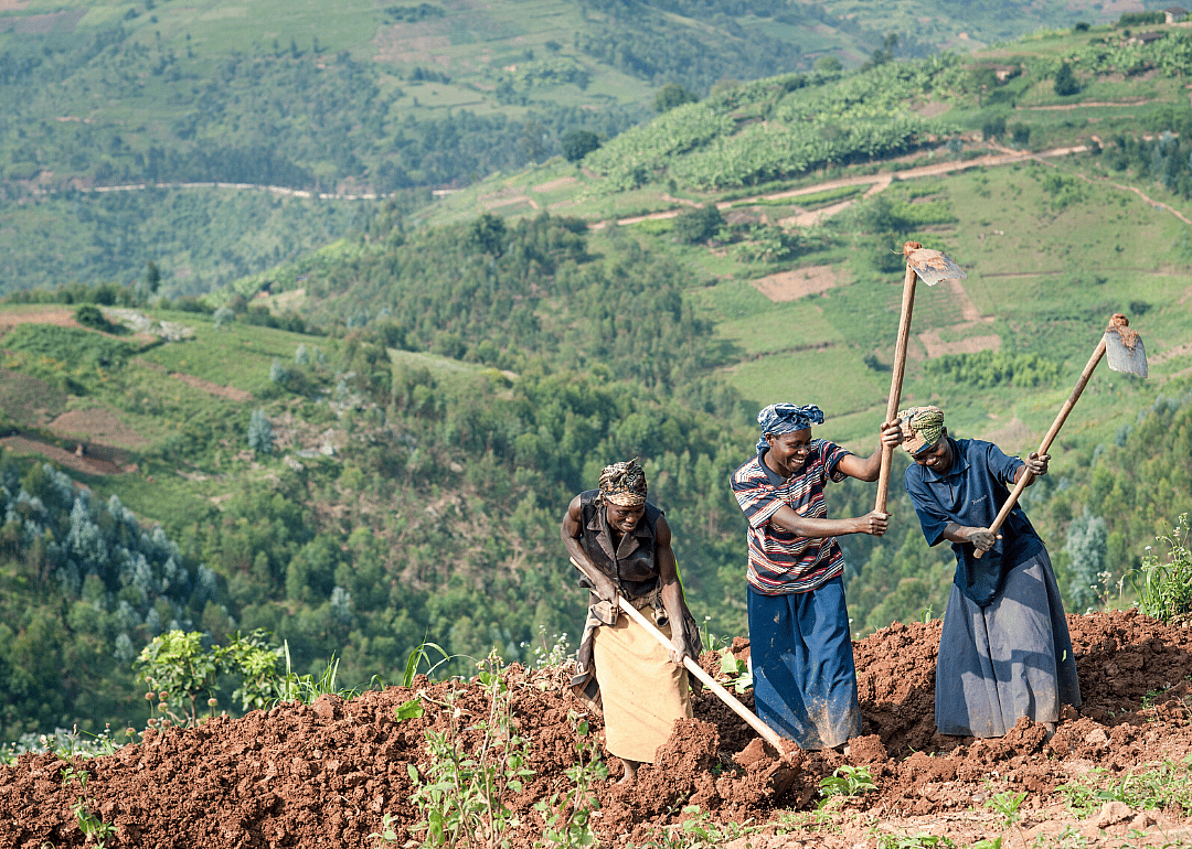 One Acre Fund