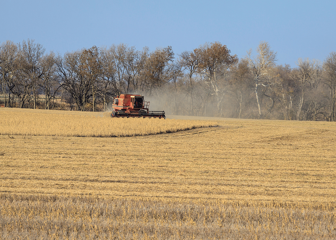 #23. Linn County