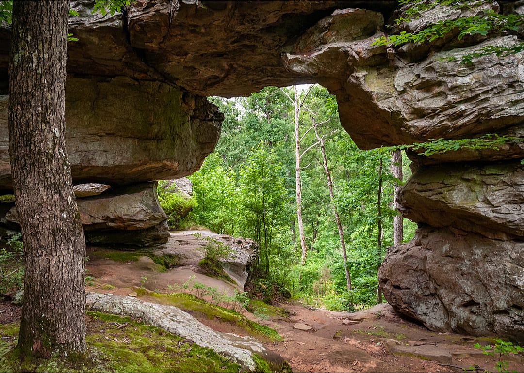 #37. Arkansas