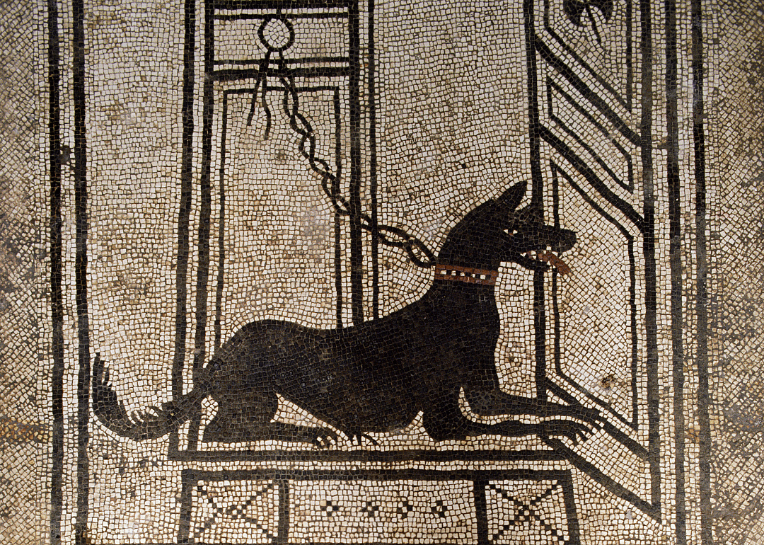 First century: The military dog market emerges