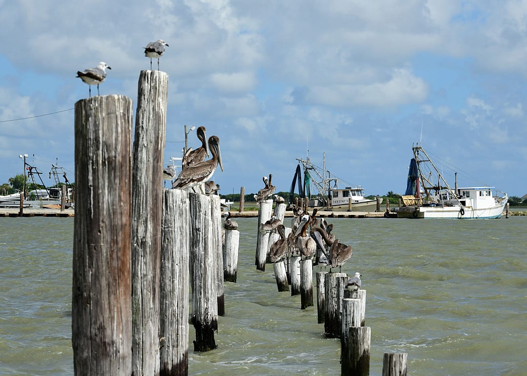 #47. Seadrift, Texas