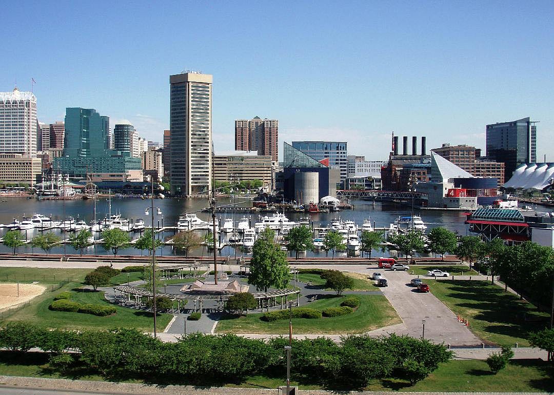 #31. Maryland