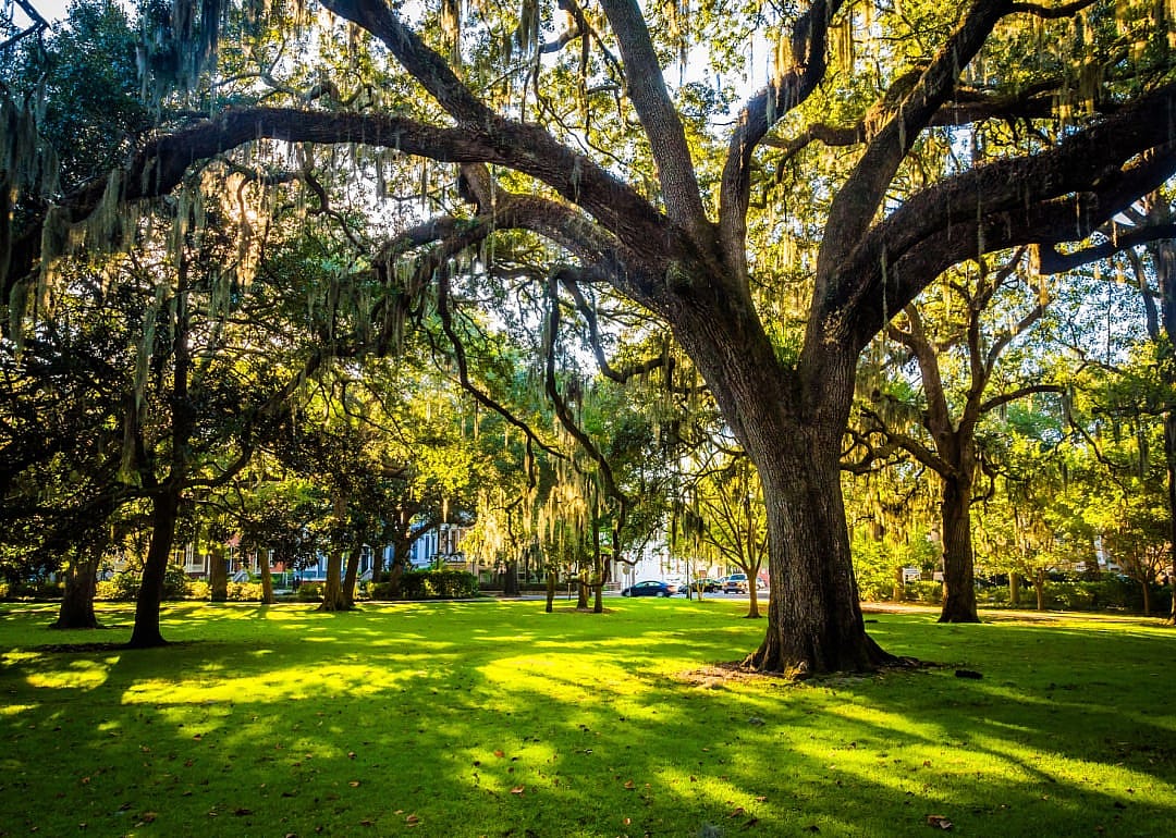 #8. Hinesville (tie)