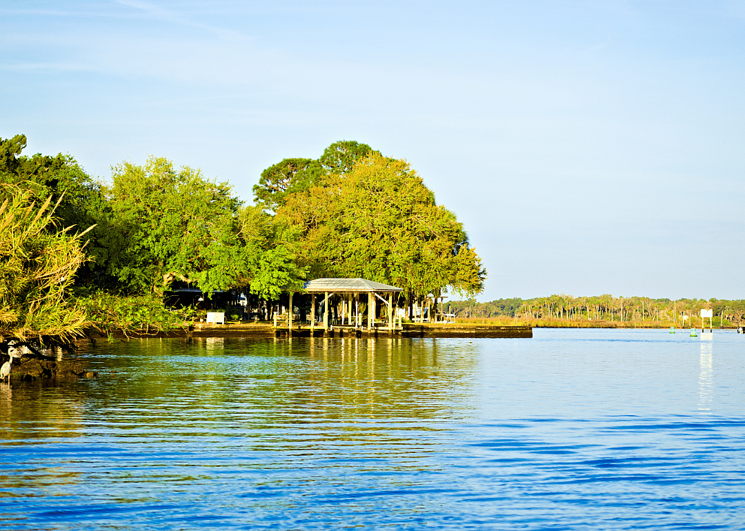 #10. Homosassa Springs, FL