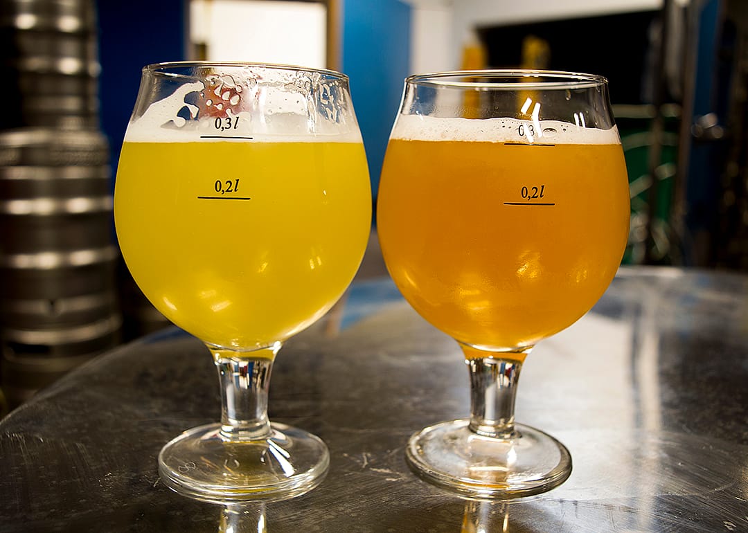 Berliner weisse and golden ale in glass in brewery.