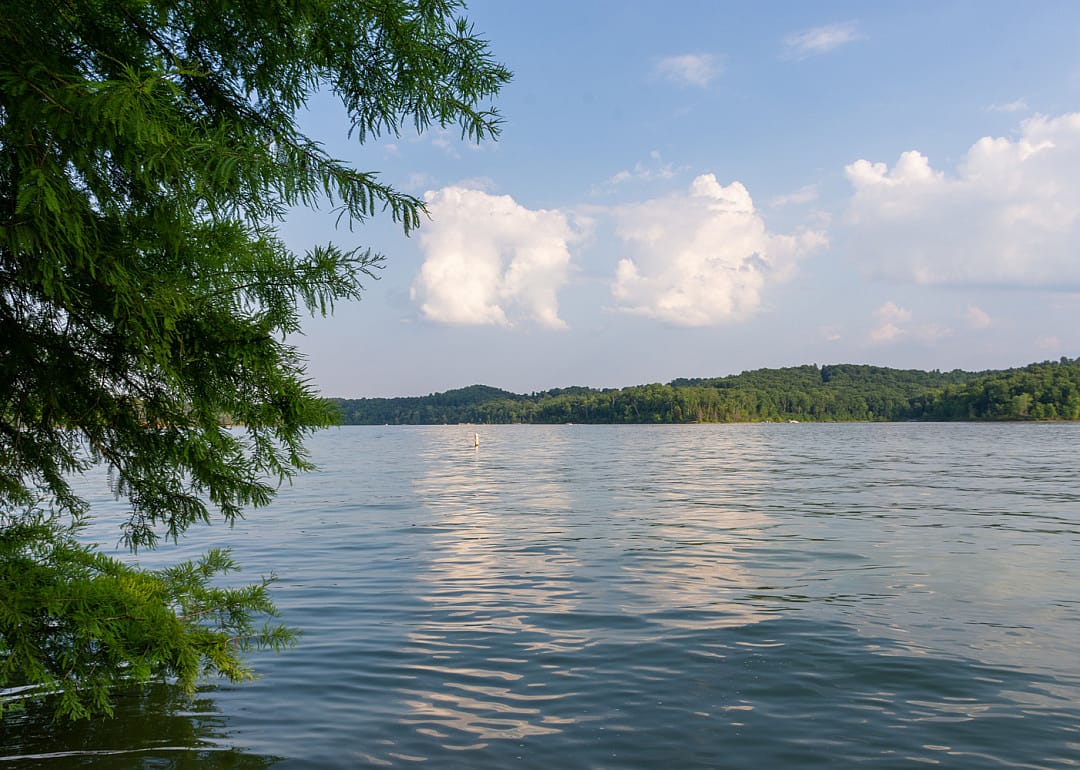 #29. Lawrence County (tie)