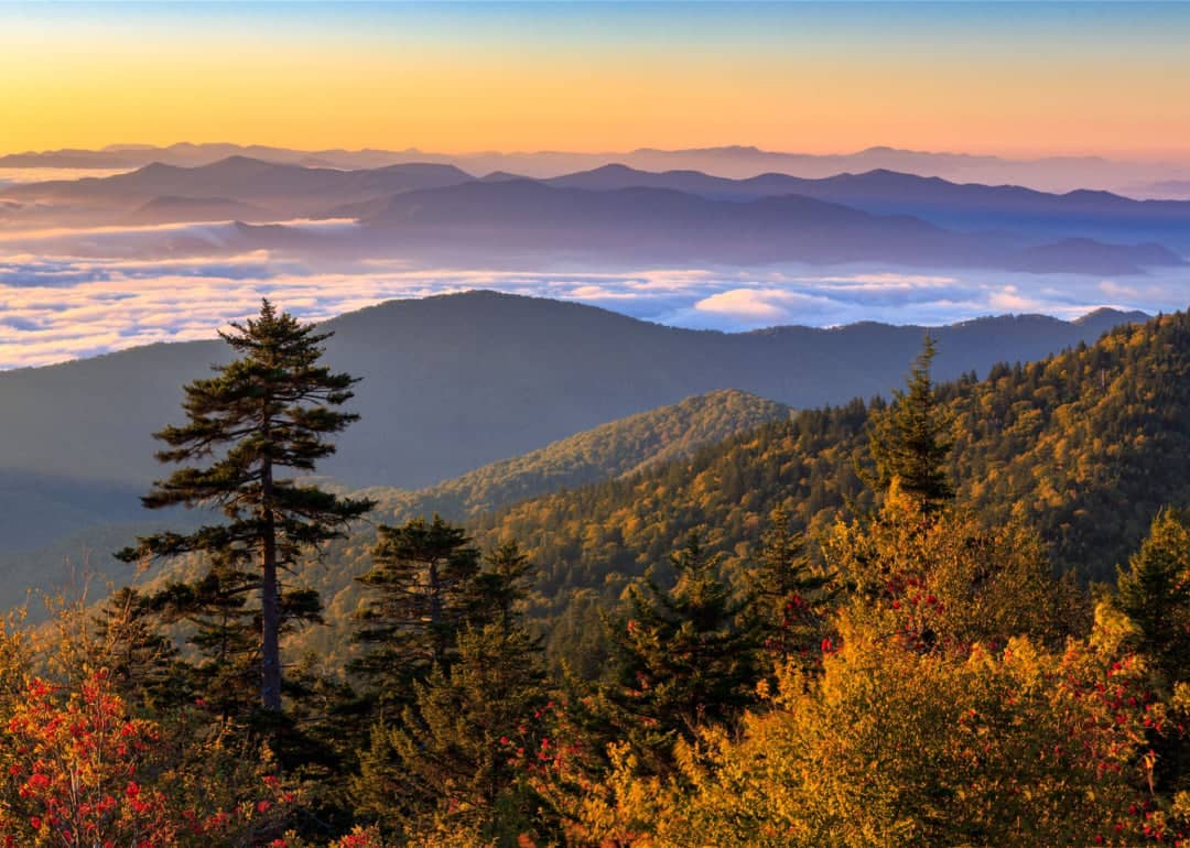 #6. Great Smoky Mountains National Park (North Carolina, Tennessee)