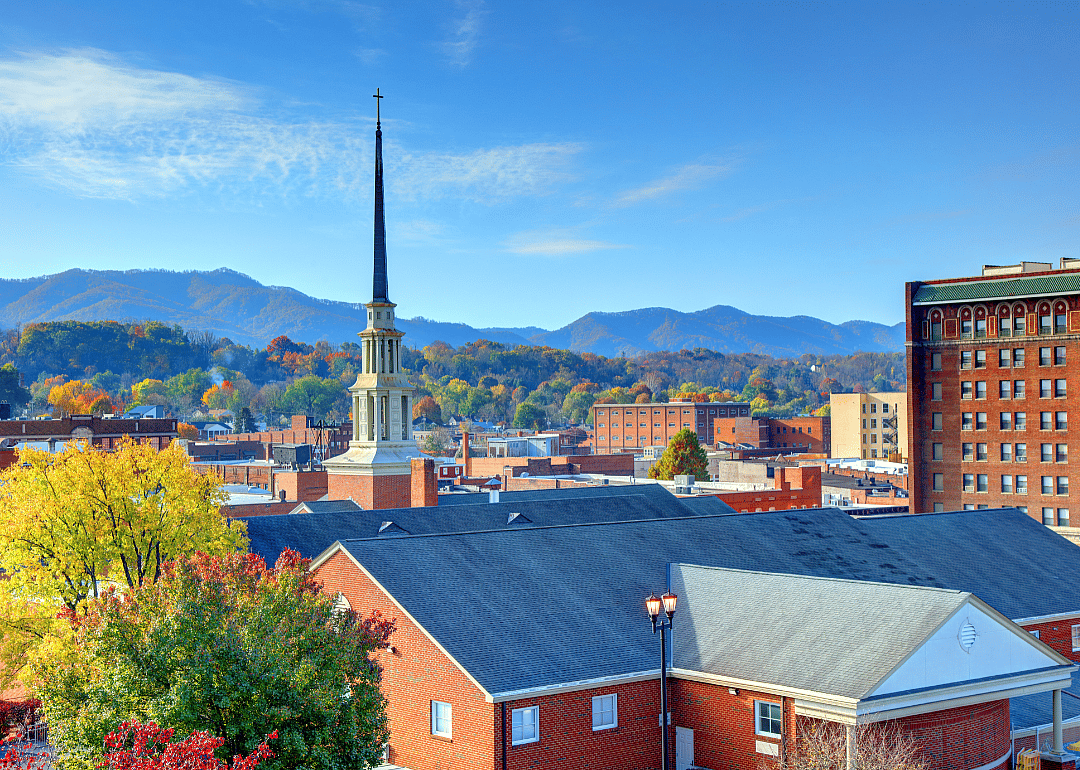 #7. Johnson City
