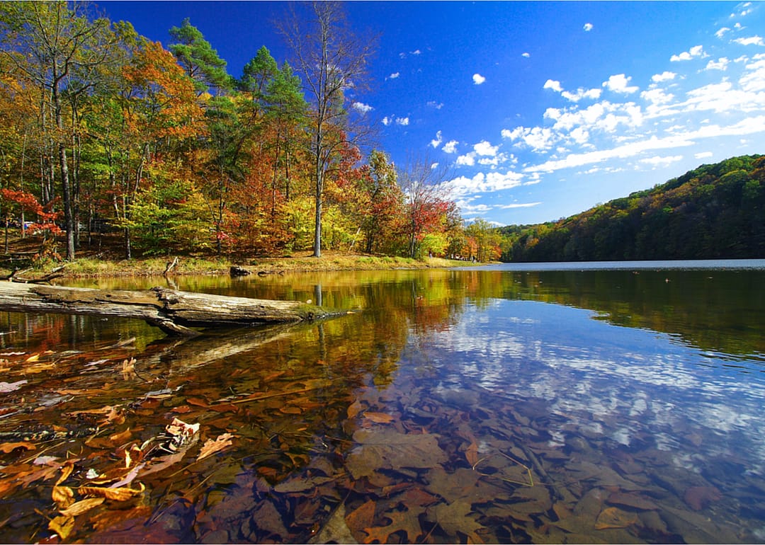 #35. Indiana