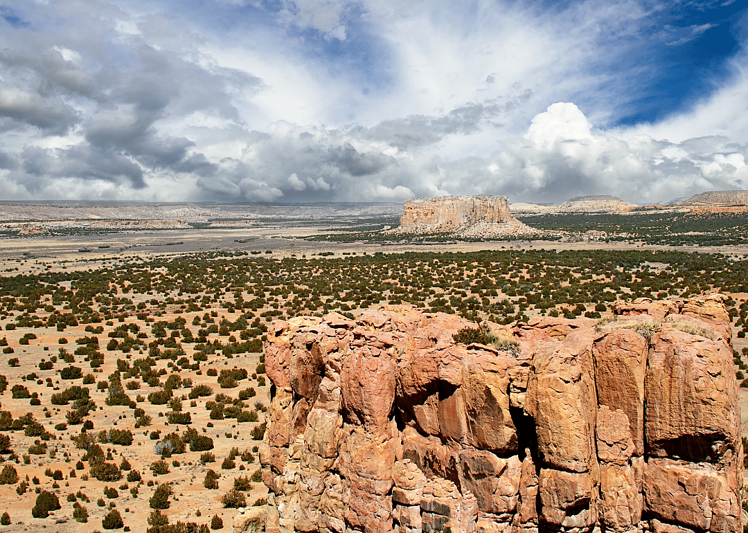 #26. Cibola County