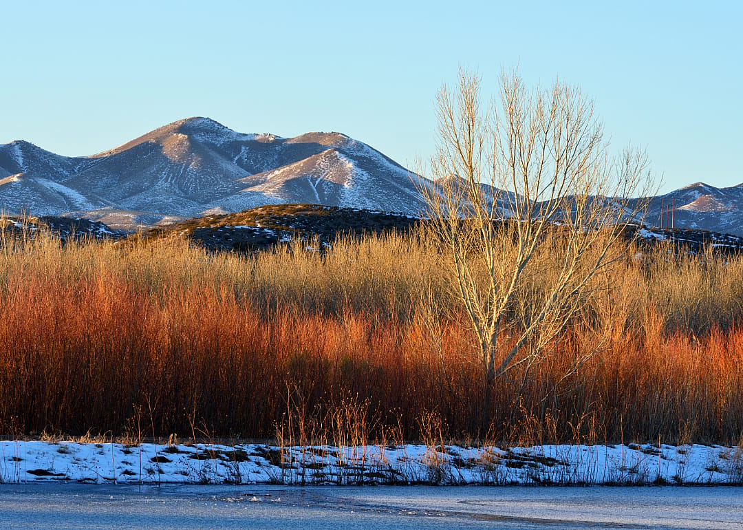#11. Socorro County