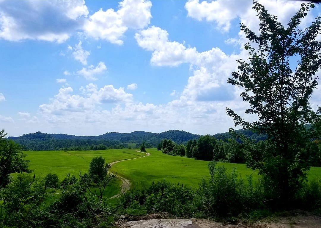 #45. Magoffin County (tie)