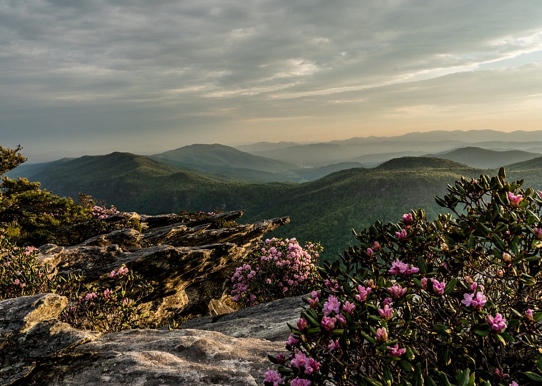 #7. Avery County, NC