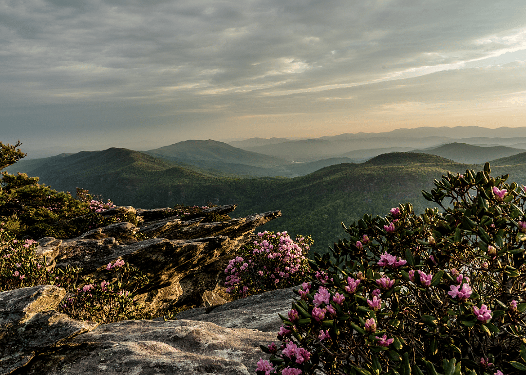 #1. Avery County, North Carolina