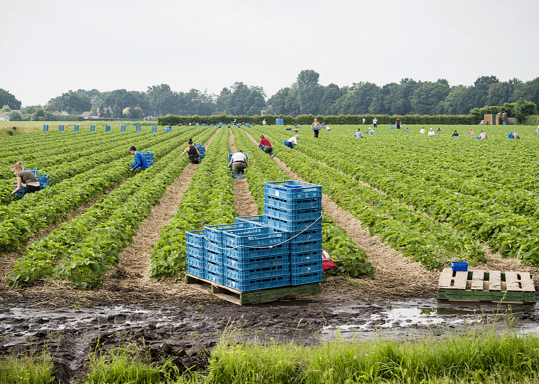 #38. First-line supervisors of farming, fishing, and forestry workers (tie)