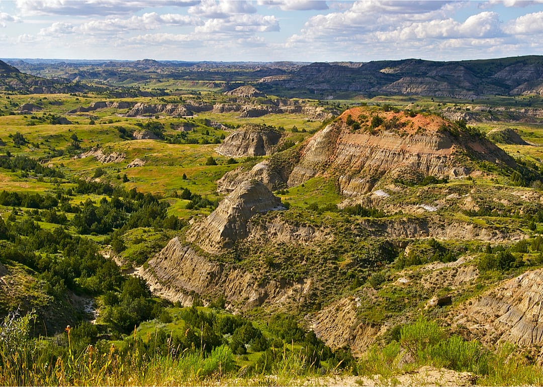 #41. Billings County
