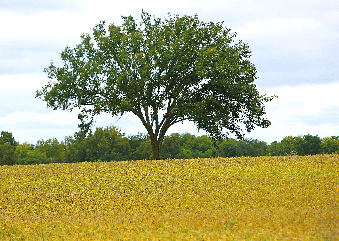 #22. Republic County