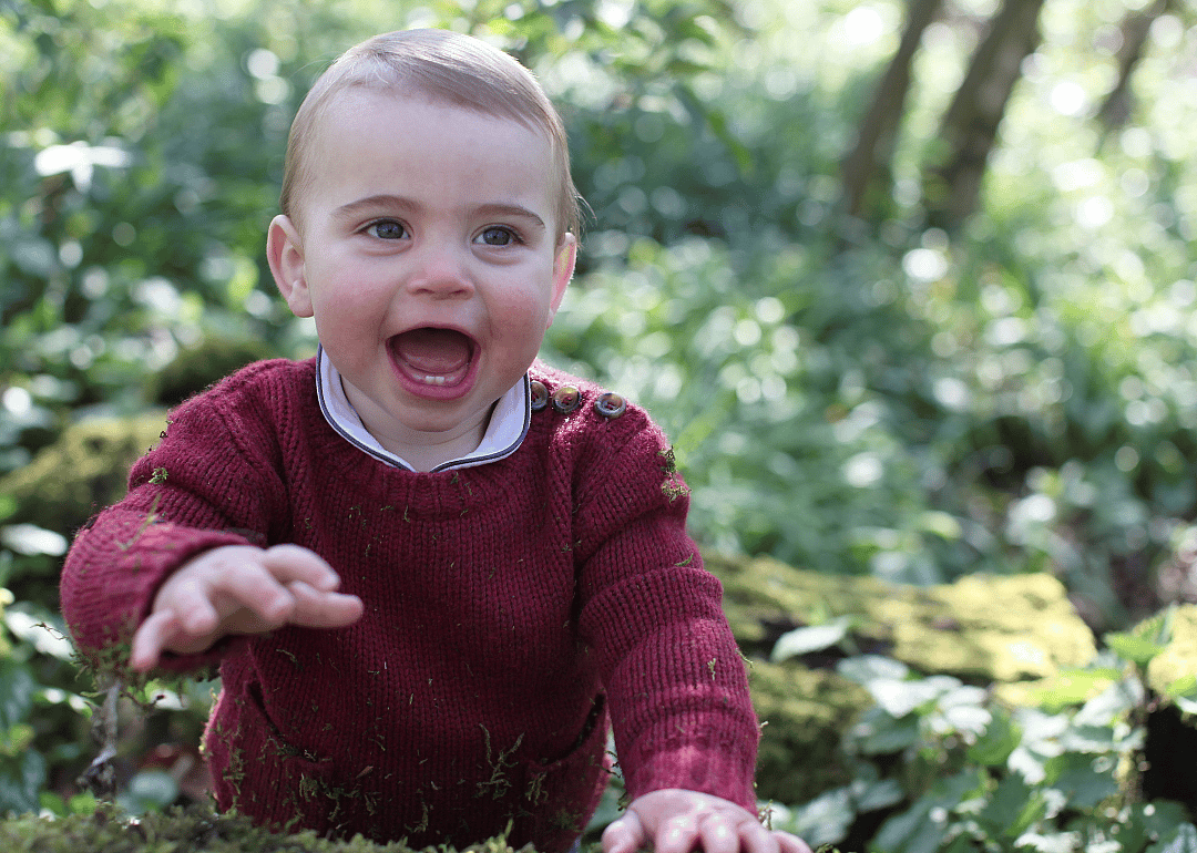 5th in line: Prince Louis